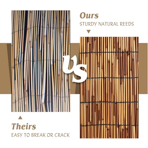 Natural Reed Fencing Roll 6.5x9.8FT Privacy Screen for Patio (63.5275 Sq Ft)