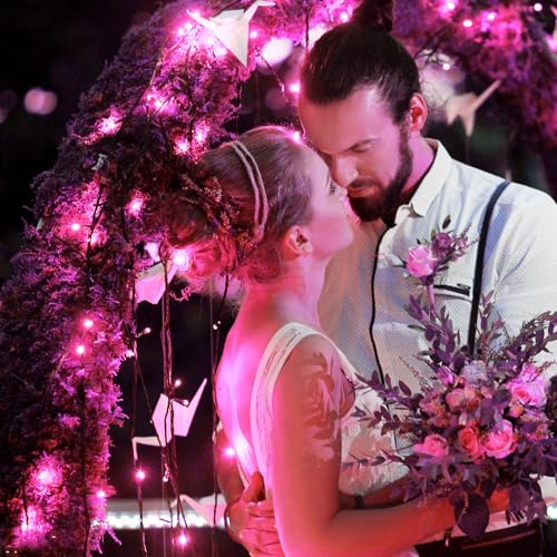 Pink Christmas Lights Outdoor
