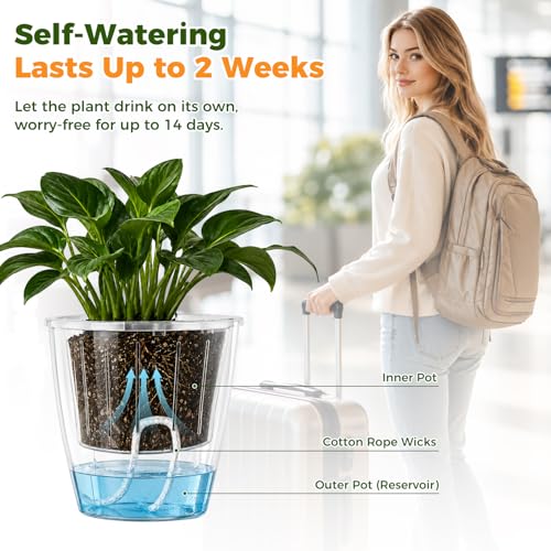 Clear Self Watering Pots for Indoor Plants (6 Count)
