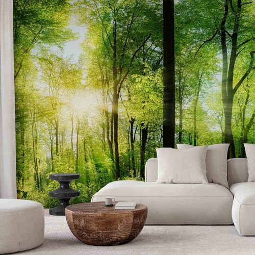Peel and Stick Wall Mural (144.27 Sq Ft)