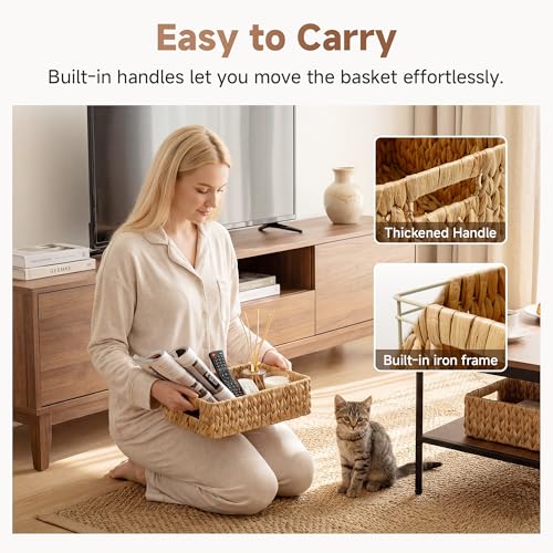 Small Wicker Baskets for Shelves (2 Count)