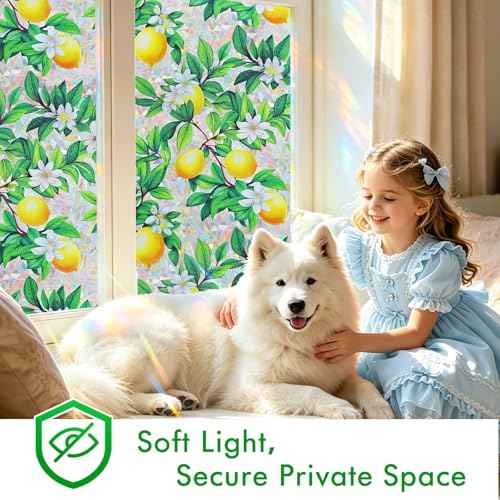 Rainbow Stained Glass Window Privacy Film