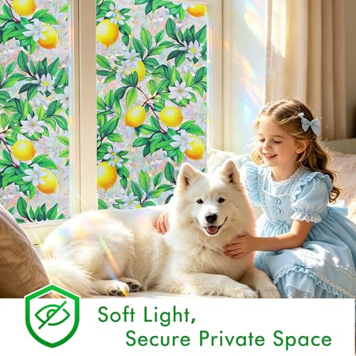 Rainbow Stained Glass Window Privacy Film