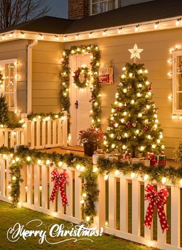 50Ft Christmas Lights Outdoor (50 Count)