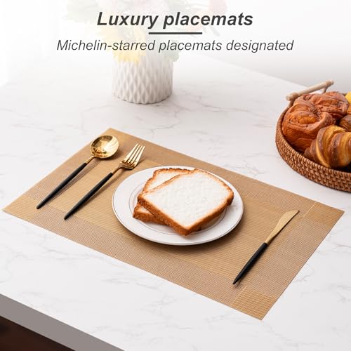 Placemats Set of 6 Washable Indoor (6 Count)