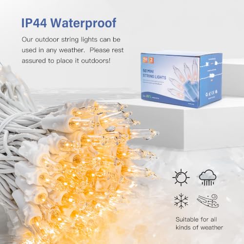 Warm White Christmas Mini Lights (50 Count)