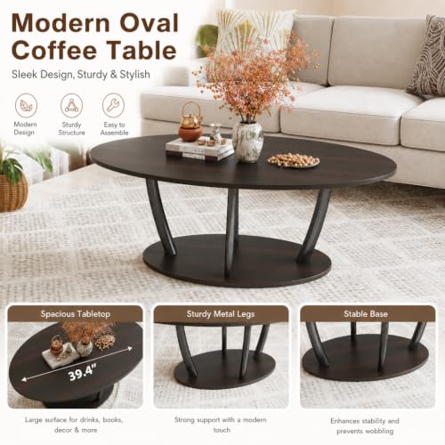 Oval Coffee Table with Shelf for Living Room