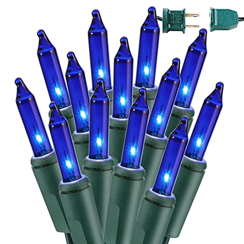 Blue Christmas Lights (69.6 Foot)