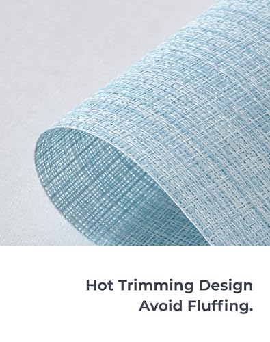 Soft Sky Blue Woven Placemats Set of 8 (8 Count)