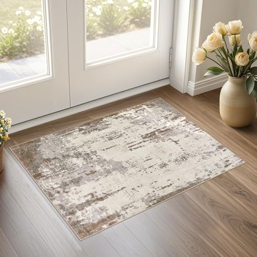 2x3 Entryway Area Rug