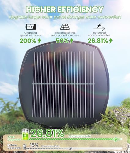 Solar Walkway Lights (8 Count)