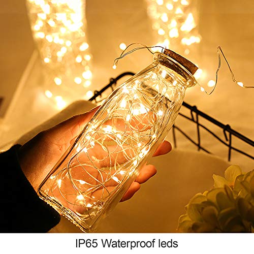 Battery Operated Fairy String Lights (26 Foot)