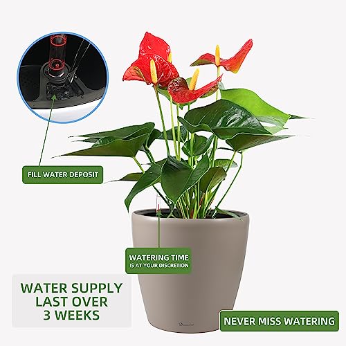 15x14 Self Watering Planter with Wheels