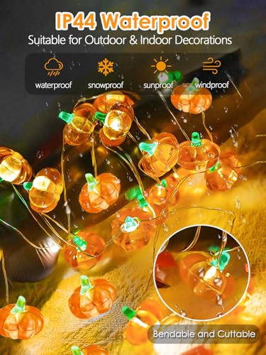 Fall Decor 10FT 3D Pumpkin Fairy Lights Battery Operated With Remote Orange