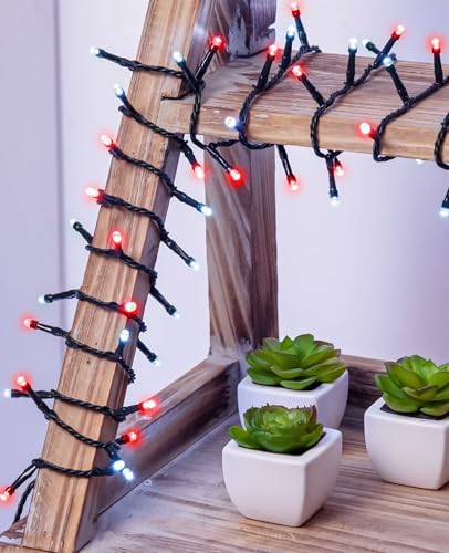 80FT 240 LED Christmas Lights Outdoor