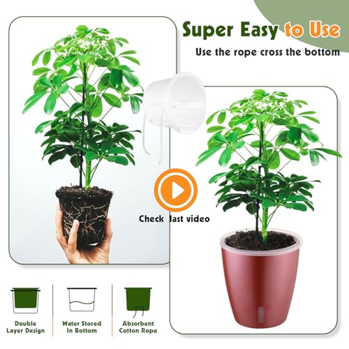 Self Watering Pots for Indoor Plants (6 Count)