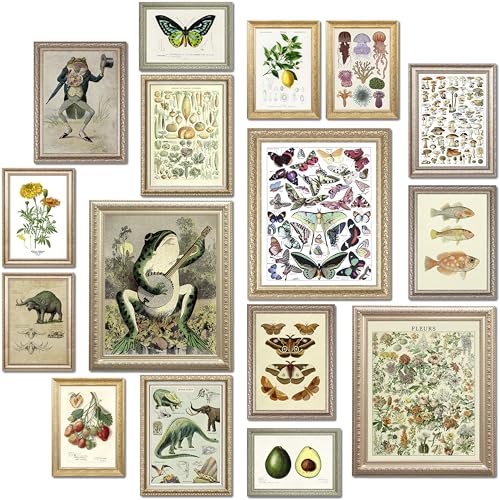 16 Pcs Unframed Vintage Botanical Biology Art (17 Count)