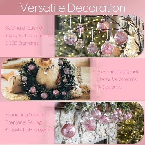 24 Pack Clear Christmas Ball Ornaments with Fillers (24 Count)