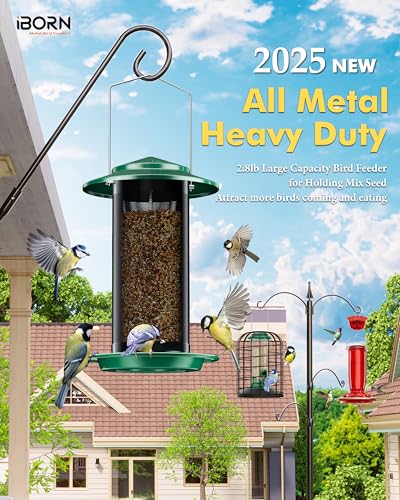 Bird Feeders for Outdoors