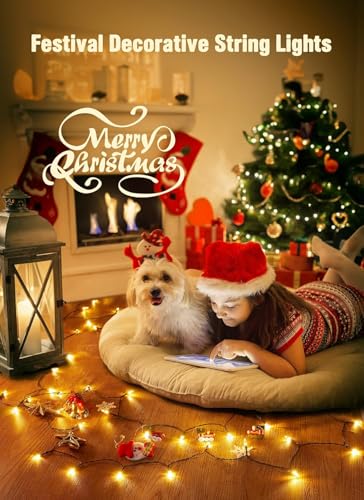 8ft 20LED Battery Operated Christmas String Lights with Timer