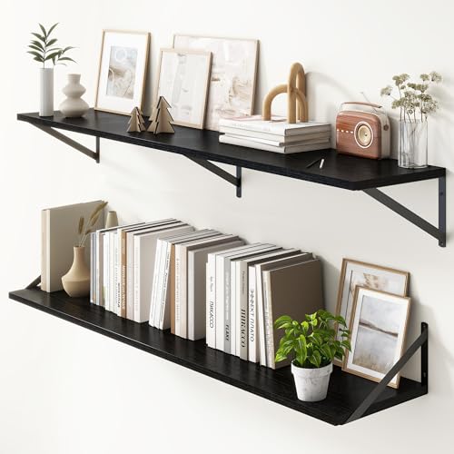 Floating Shelves 55 Inch Long (2 Count)