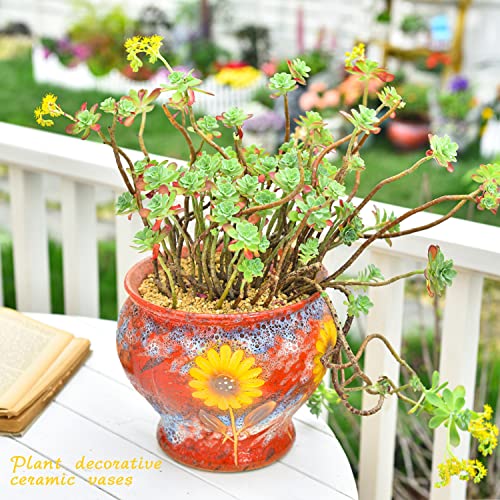 9 Inch Hand Painted Ceramic Succulent Plant Pots
