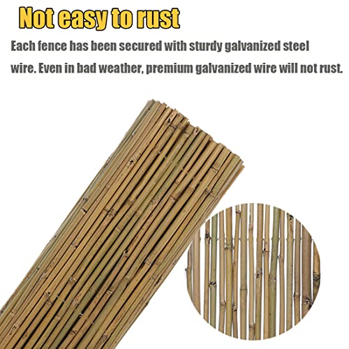6Ft High x 8 Ft Long x 0.7In D Bamboos Screen (48 Sq Ft)