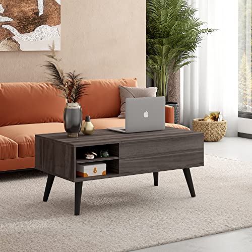 Lift Top Coffee Table with Hidden Storage