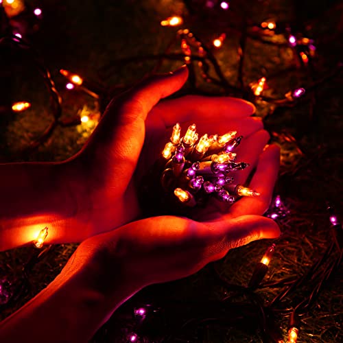 Orange & Purple Halloween Lights (12.5 Foot)