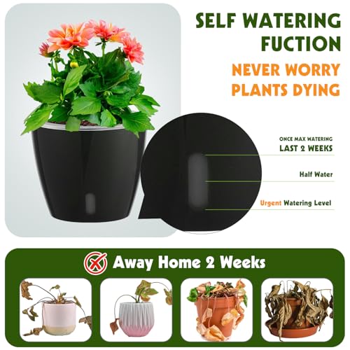 Self Watering Pots for Indoor Plants