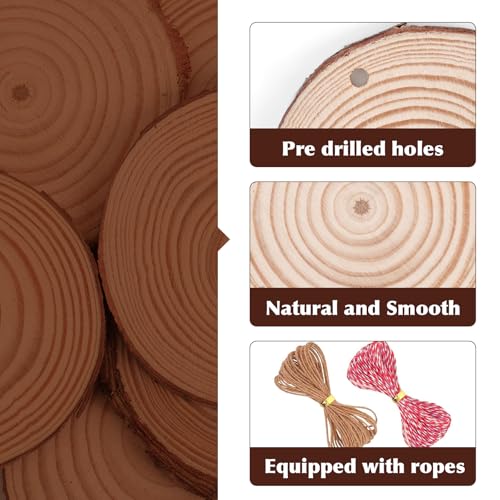 100 Pack Nature Wood Slices for Crafts (100 Count)