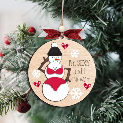 Funny Holiday Ornament 2025