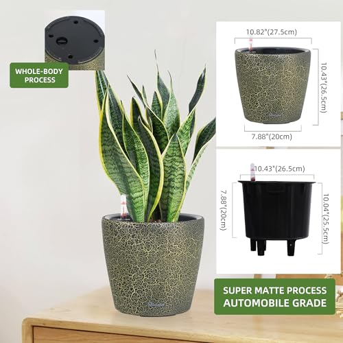 11x10 Self Watering Planter