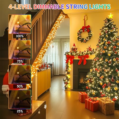 200 LED Color Changing Christmas Lights (66 Foot)