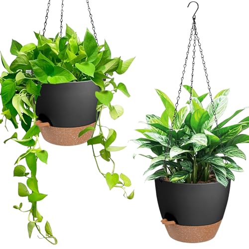 Hanging Planters for Indoor Outdoor Plants (2 Count)