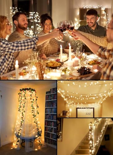 8ft 20LED Battery Operated Christmas String Lights with Timer