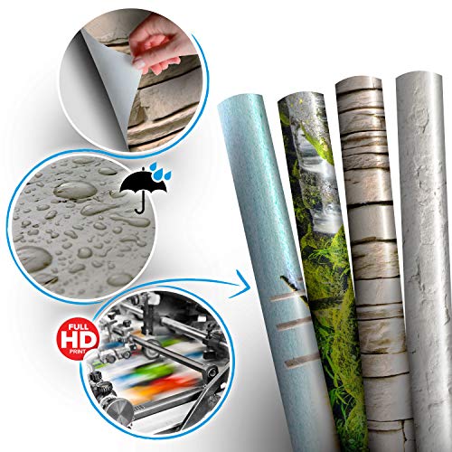 Peel and Stick Wall Mural (6 Count)
