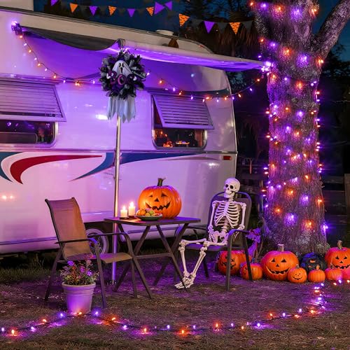 66ft 200 LEDOrange and Purple Halloween String Lights