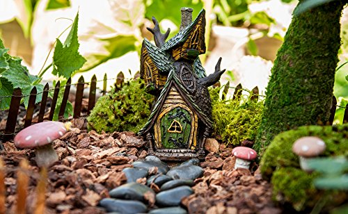 50310) Fairy Garden Kit, Mixed Mosses, 4 oz., Multicolor