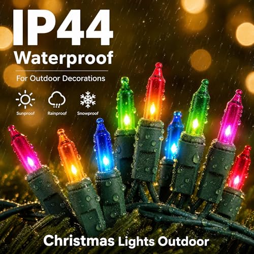 Outdoor Christmas Lights (20 Foot)