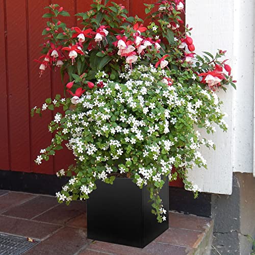 Galvanized Steel Planter Box 16Inch