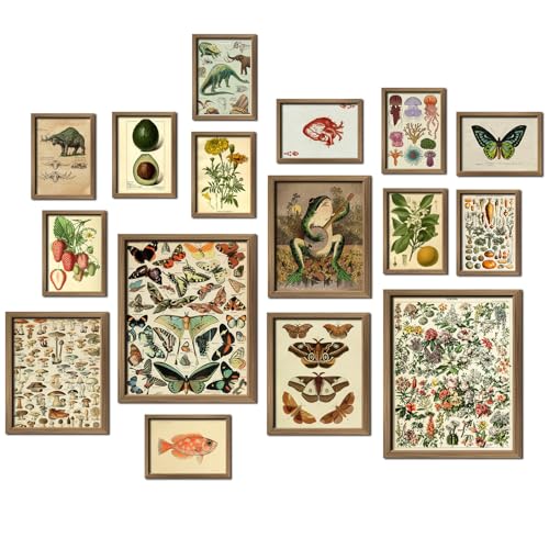16 PCS Vintage Wall Art Decor (16 Count)