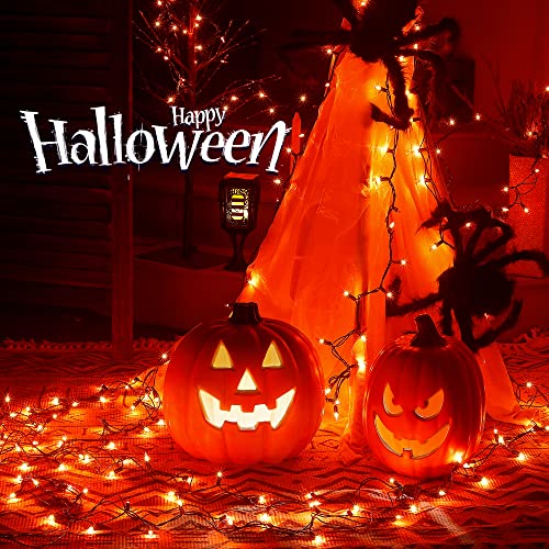 Orange Halloween Mini Lights (50 Count)