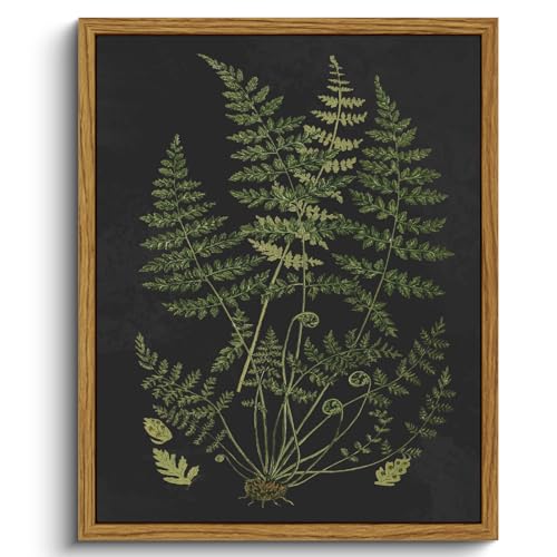 Framed Botanical Wall Art Minimalist Canvas Print