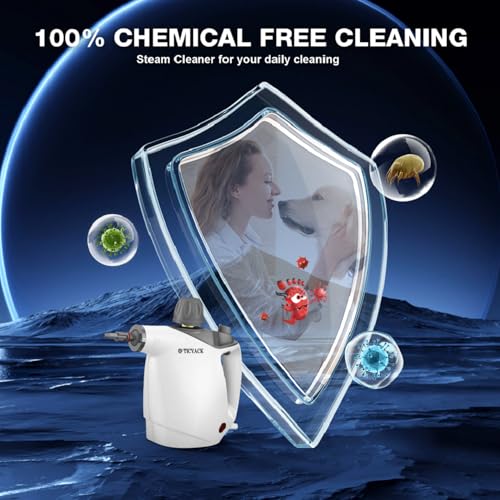 Handheld Steam Cleaner