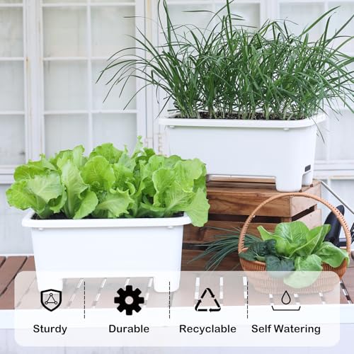Self Watering Rectangle Planter Boxes 8 (8 Count)