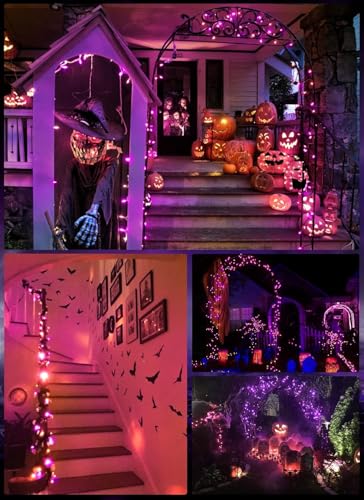 Orange and Purple Battery Operated Christmas String Lights