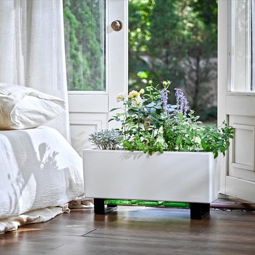 Self Watering Mini Bench Planter