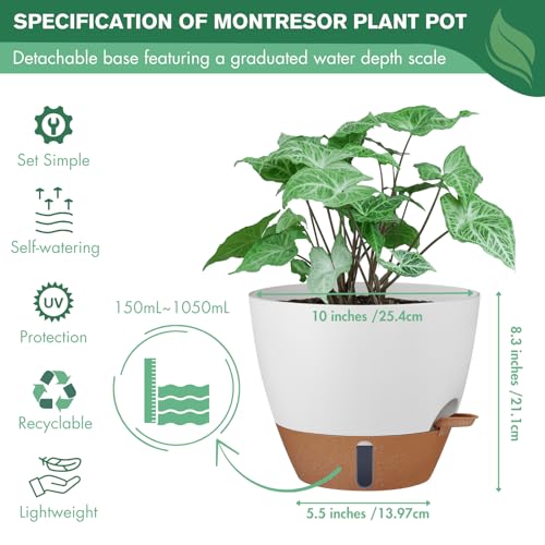 2 Pack 10 inch Plant Pots (2 Count)