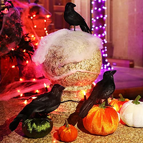 6 Pack Halloween Black Feathered Crows (6 Count)
